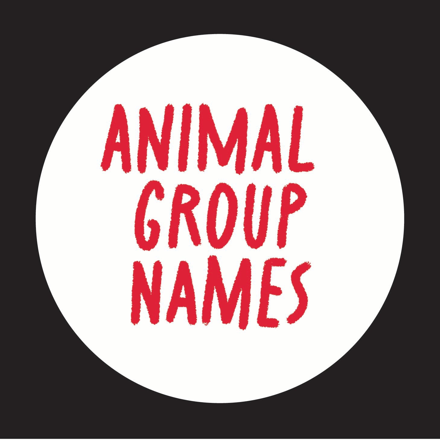 Animal Group Names