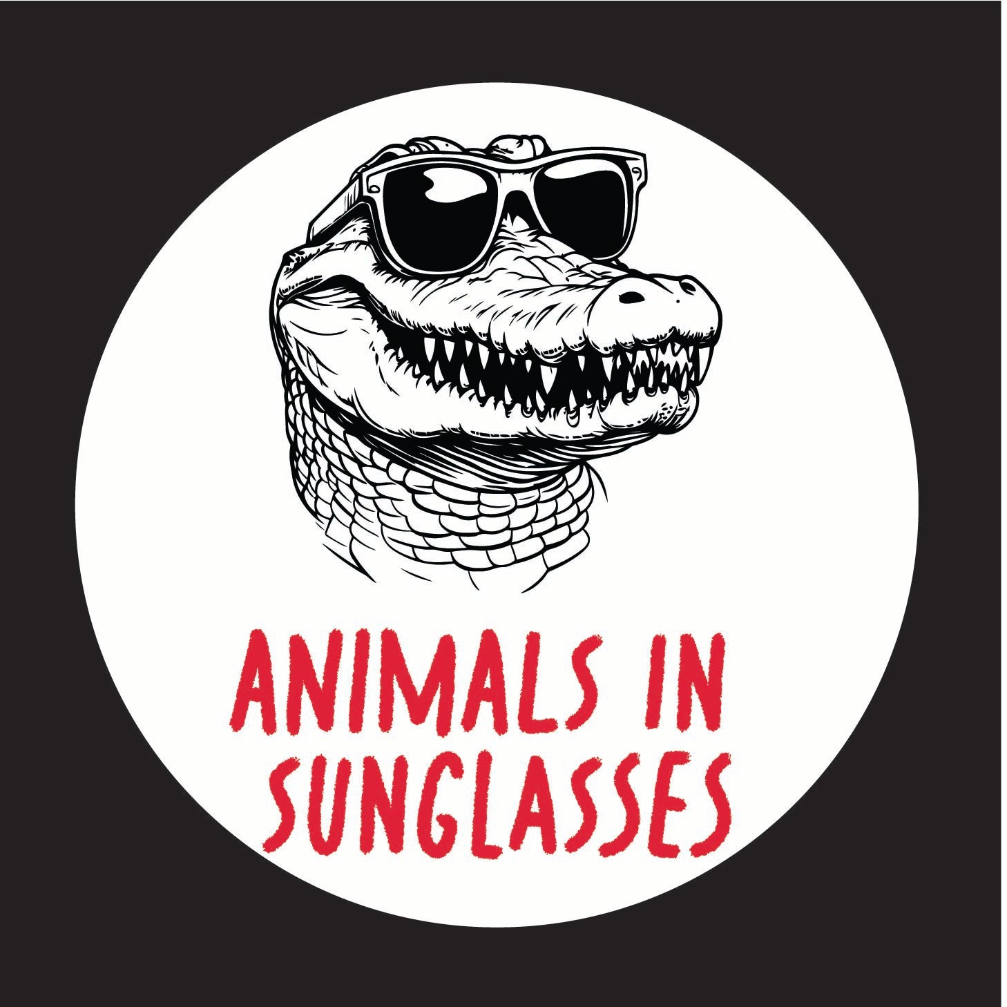 Animals In Sunglasses