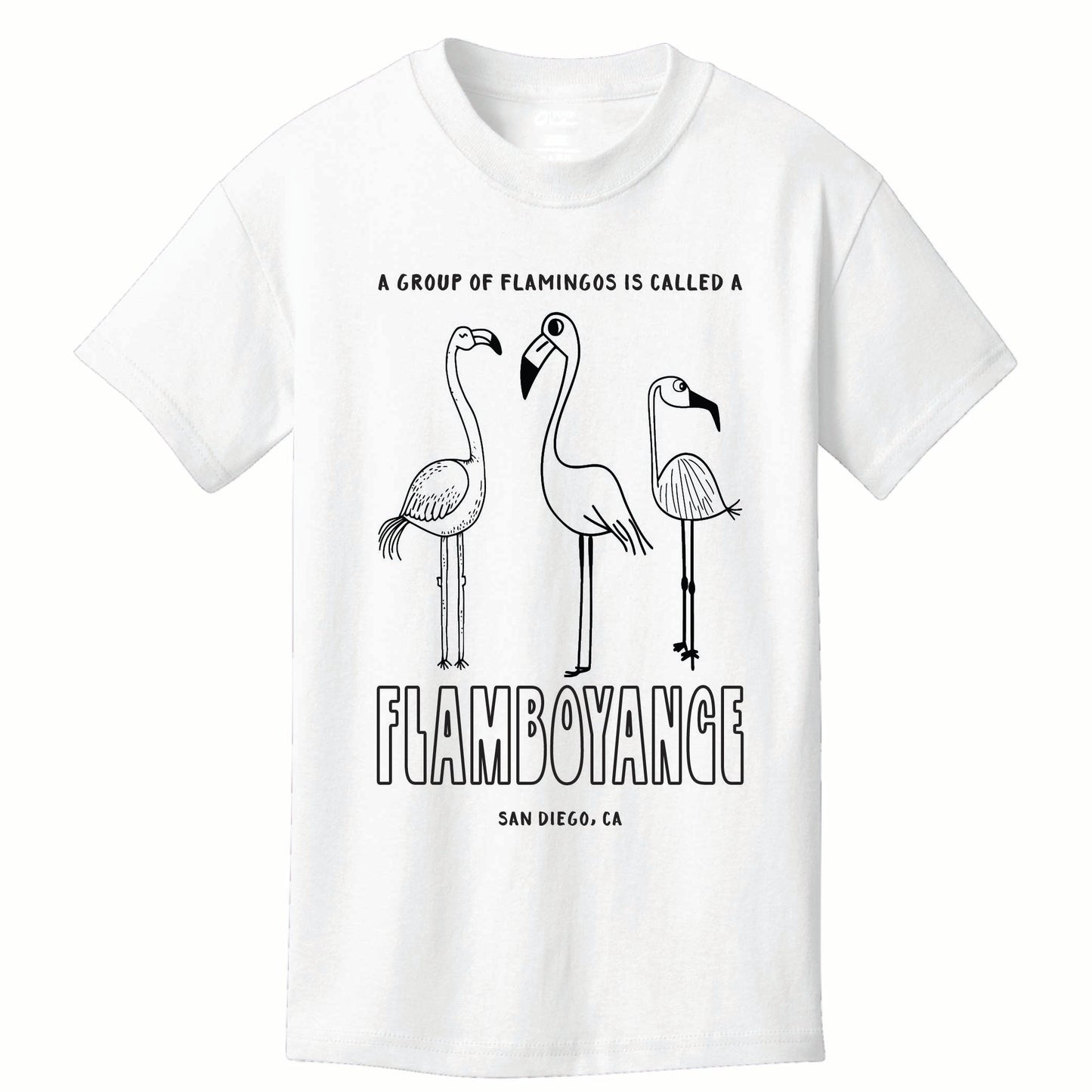 Flamboyance of Flamingos Tee